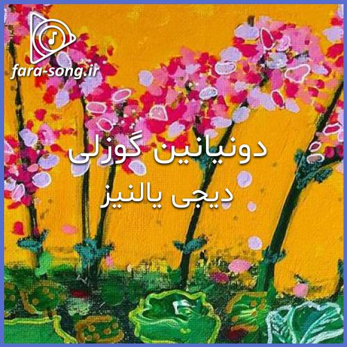 دانلود اهنگ ترکی دونیانین گوزلی ناز ادمه منه با صدای زن از دیجی یالنیز