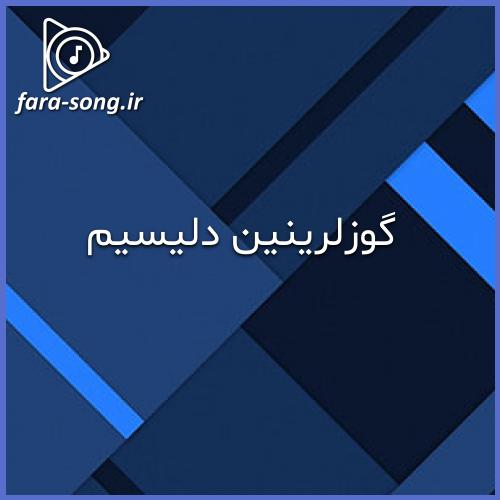 دانلود اهنگ ترکی گوزلرینین دلیسیم با صدای زن