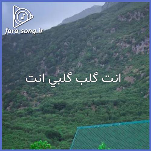 دانلود اهنگ عربی انت گلب گلبی انت با صدای زن