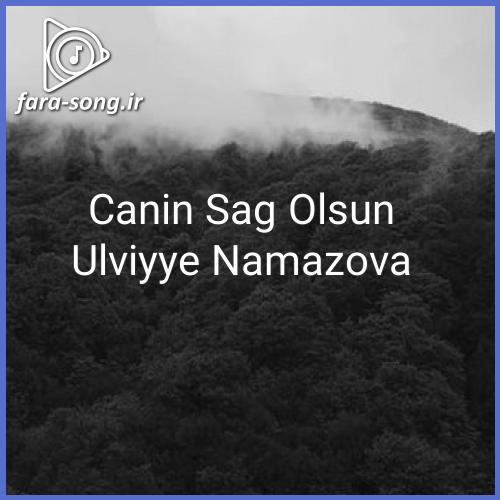 دانلود اهنگ تکی جانین ساغ اولسون از اولوییه نامازووا